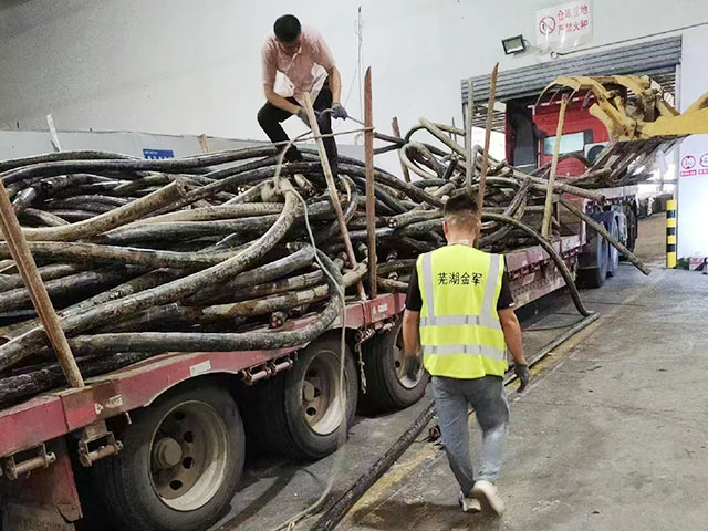 �U�f늾������Ј��r�񲨄�����